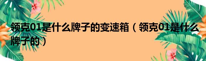 领克01是什么牌子的变速箱（领克01是什么牌子的）