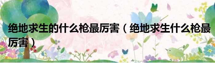 绝地求生的什么枪最厉害（绝地求生什么枪最厉害）