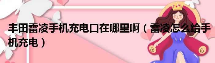 丰田雷凌手机充电口在哪里啊（雷凌怎么给手机充电）
