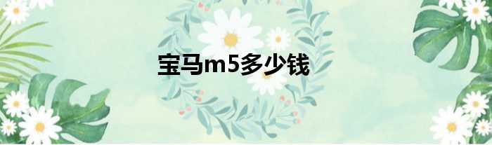 宝马m5多少钱