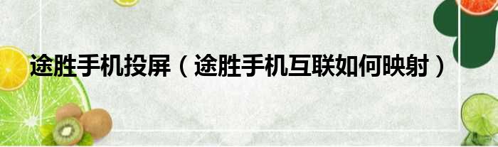 途胜手机投屏（途胜手机互联如何映射）