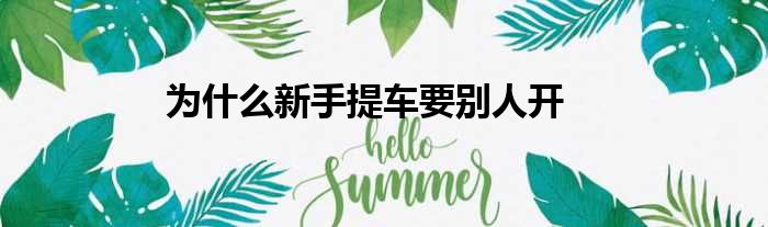 为什么新手提车要别人开