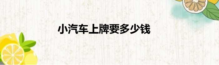 小汽车上牌要多少钱