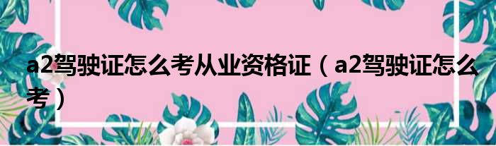 a2驾驶证怎么考从业资格证（a2驾驶证怎么考）