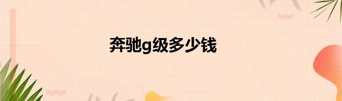 奔驰g级多少钱