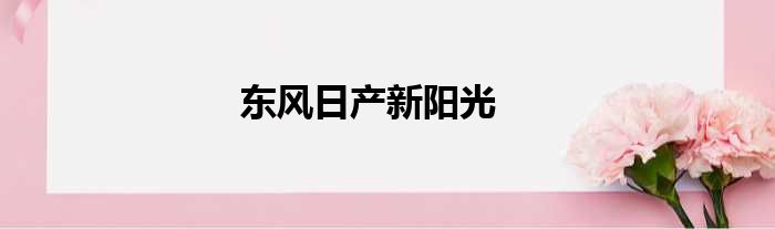 东风日产新阳光