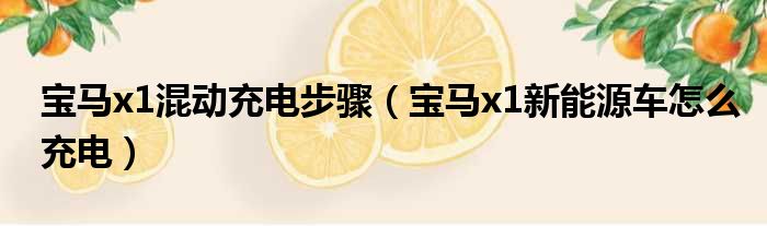 宝马x1混动充电步骤（宝马x1新能源车怎么充电）