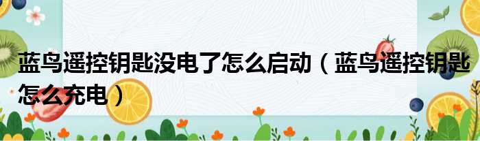 蓝鸟遥控钥匙没电了怎么启动（蓝鸟遥控钥匙怎么充电）