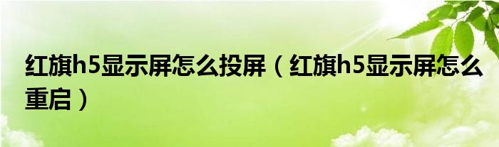 红旗h5显示屏怎么投屏（红旗h5显示屏怎么重启）