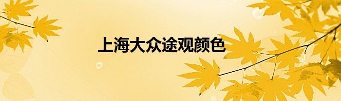 上海大众途观颜色