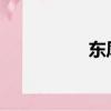 东风日产新阳光怎么样