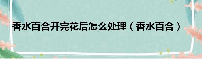 香水百合开完花后怎么处理（香水百合）