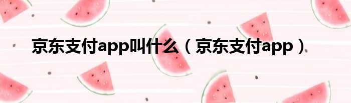 京东支付app叫什么（京东支付app）