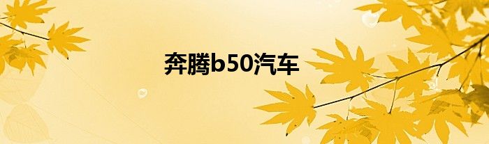 奔腾b50汽车