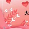 大众途昂2020款报价