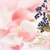 奥迪a8多钱