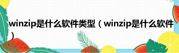 winzip是什么软件类型（winzip是什么软件）