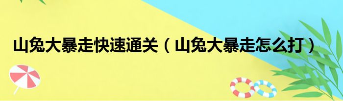 山兔大暴走快速通关（山兔大暴走怎么打）