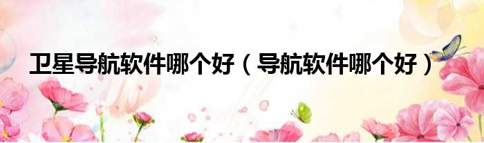 卫星导航软件哪个好（导航软件哪个好）