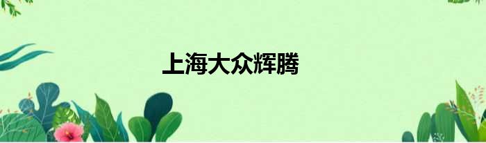 上海大众辉腾