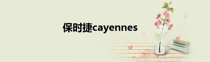 保时捷cayennes
