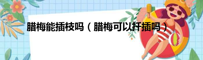 腊梅能插枝吗（腊梅可以扦插吗）