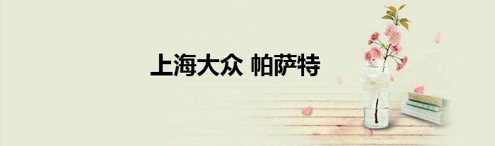 上海大众 帕萨特