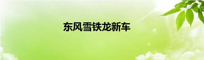东风雪铁龙新车