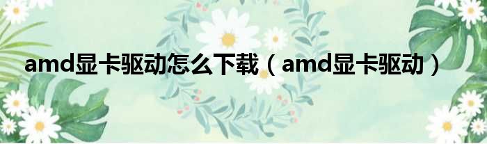 amd显卡驱动怎么下载（amd显卡驱动）