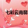 七彩云南翡翠全国分店（七彩云南翡翠）