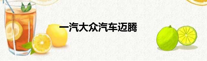 一汽大众汽车迈腾