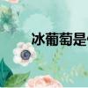 冰葡萄是什么东西（冰葡萄是什么）