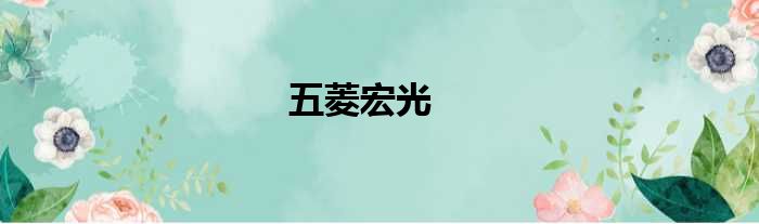 五菱宏光