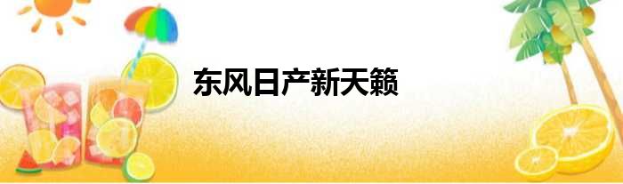 东风日产新天籁