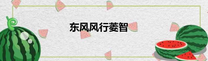 东风风行菱智