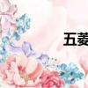 五菱凯捷预售价格是多少