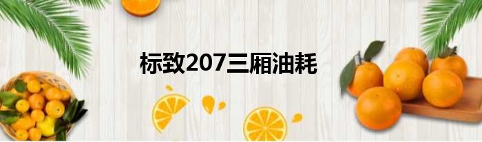标致207三厢油耗