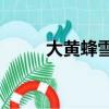 大黄蜂雪佛兰科迈罗camaro报价