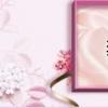 奔腾b70 2010款