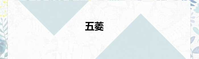 五菱