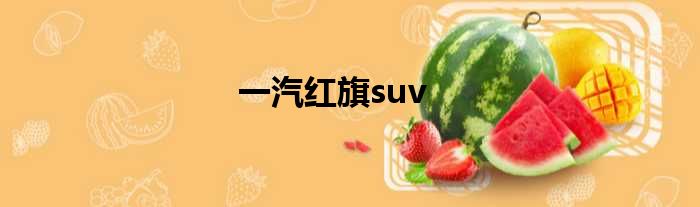 一汽红旗suv