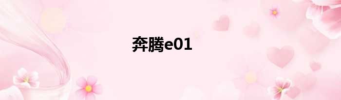 奔腾e01