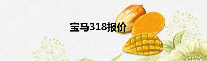 宝马318报价