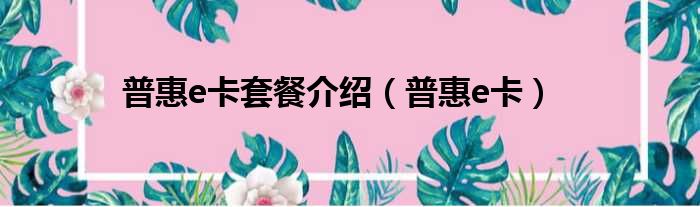 普惠e卡套餐介绍（普惠e卡）