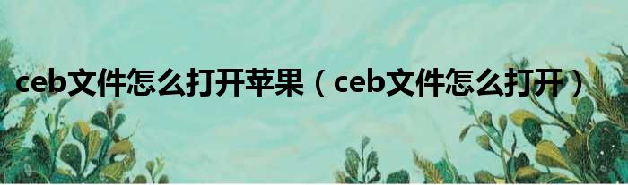 ceb文件怎么打开苹果（ceb文件怎么打开）