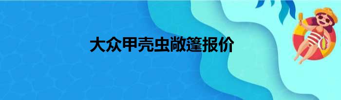 大众甲壳虫敞篷报价
