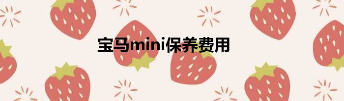 宝马mini保养费用