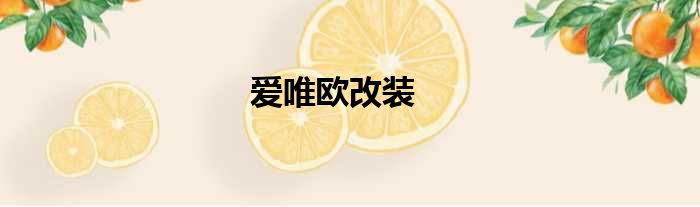爱唯欧改装