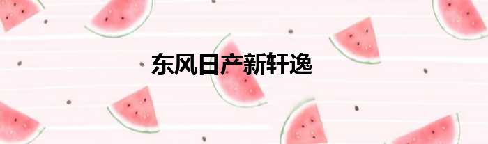 东风日产新轩逸