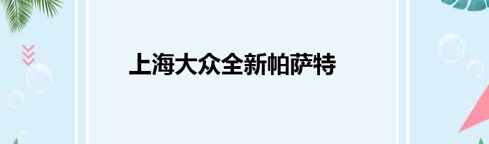 上海大众全新帕萨特